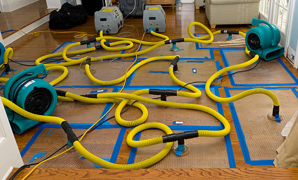 Professional Crawl Space Water Removal technician working in Falmouth, KY
